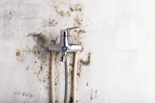 Best Mold Remediation for Schools in Mcelhattan, PA